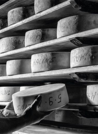 Dairy Farm handmade Cheeses by Chef Rocco | Borgo Eibn Mountain Lodge | The Aficionados