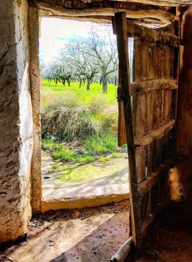 Getting close to the rural life of Mallorca with Mimo tours - open farm door