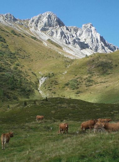 Sauris and the Carnic Alps as seen from Borgo Eibn Mountain Lodge | The Aficionados