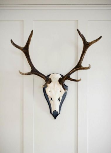 Dinky Luxe - interiors detailing, antler head, contemporary at the boutique B&B Brücke 49 Vals, Swtizerland 