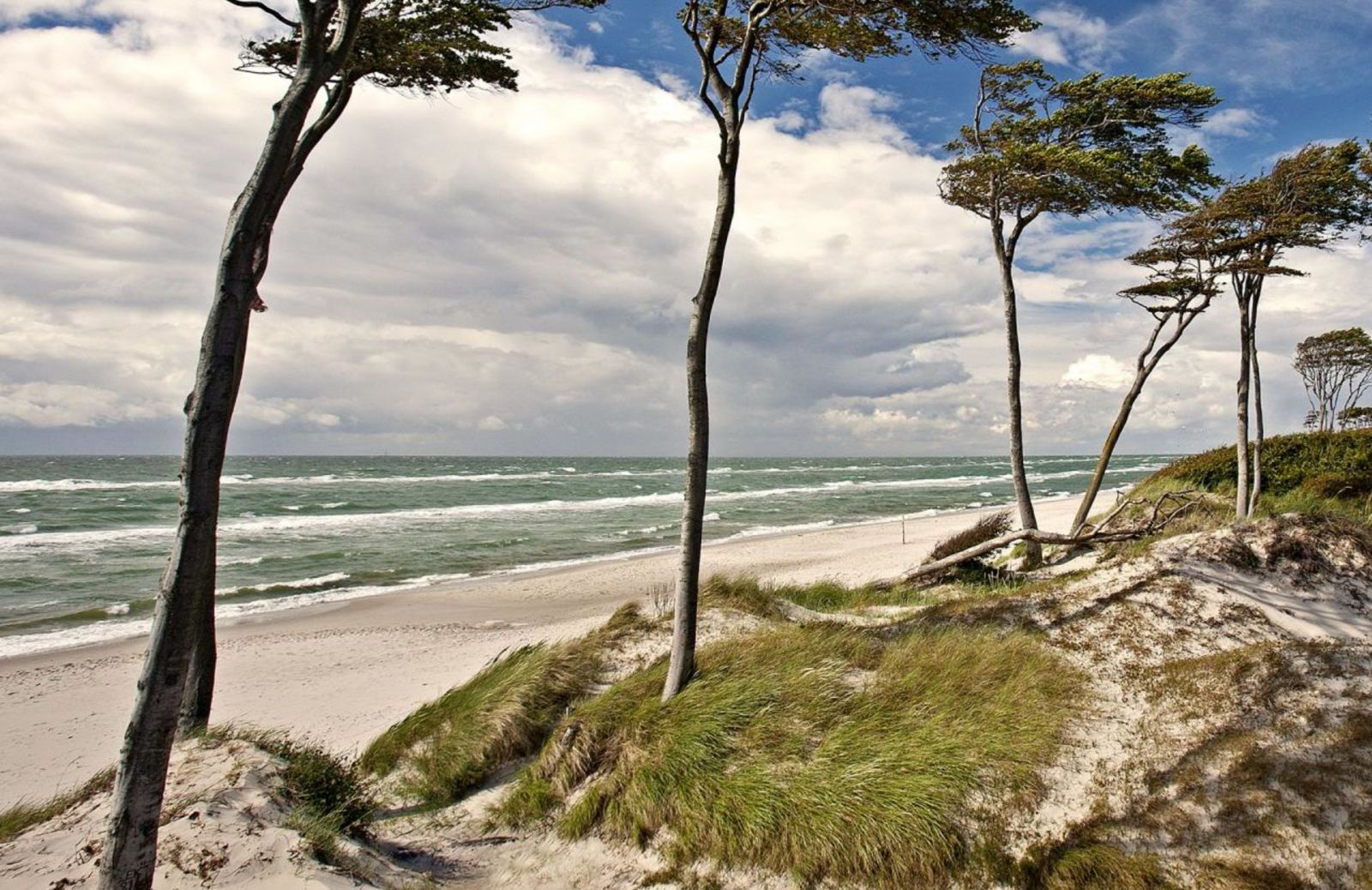 The Baltic coastline of Germany is wild, wonderful and full of nature to explore including thathced cottages of Ostseebad.