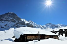 Snow Scene in the Alps | Mach | Tobogganing and Skiing | Crafted Skis & Sleds | The Aficionados
