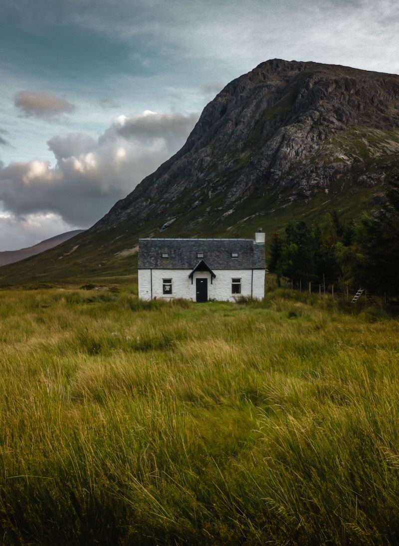 Wildland: Conservation of the Scottish Highlands | The Aficionados