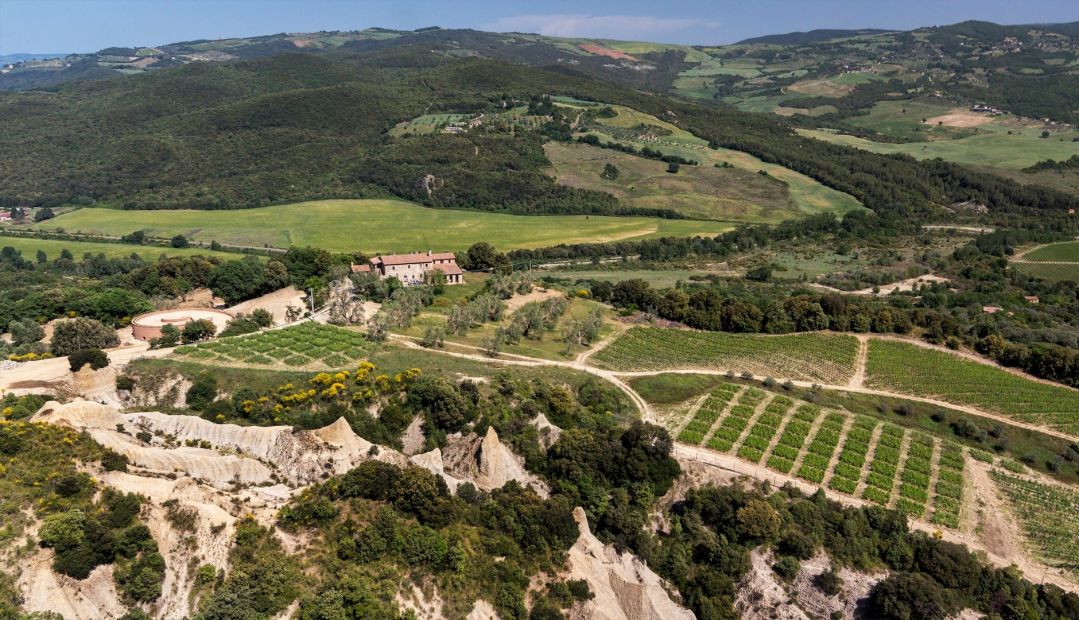 Podere Le Ripi | Favourite Tuscan Vineyards by Fabro Firli - Follonico | The Aficionados 