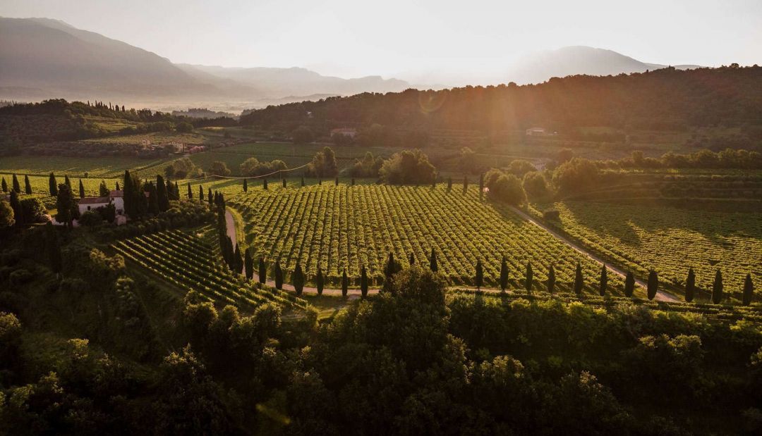 The Bardolino Wine Festival, or Festa Dell’Uva to locals, is found on the eastern shore of Italy’s beautiful Lake Garda, and is truly an oenophile’s dream. Enjoying cult status in the wine world, Bardolino Wine Festival is a five-day affair dedicate