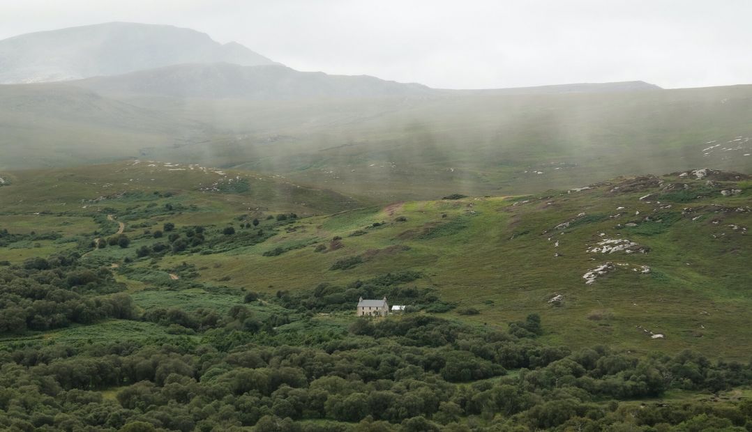 Wildland Conservation Scotland | The Aficionados